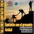 Flyer actúa 2