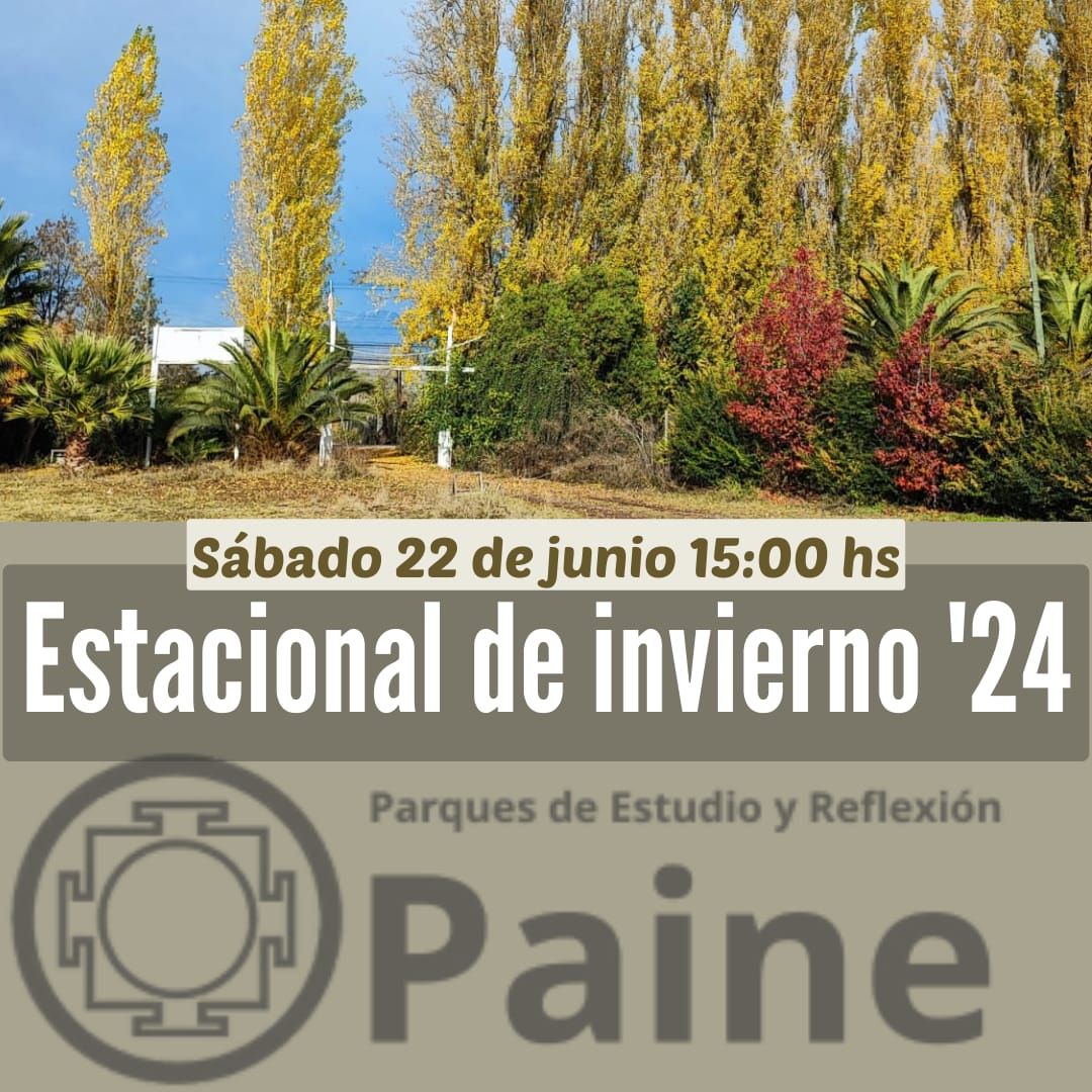 flyer estacional invierno 24