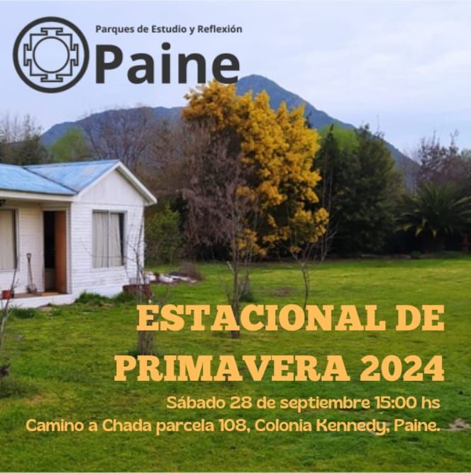 Fyer estacional primavera 24